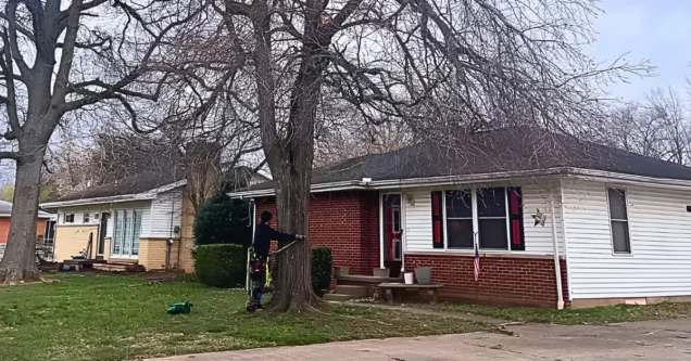How Much Does Tree Removal Cost in Evansville, IN?