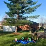 Tree care tips for Evansville and Newburgh homeowners