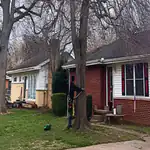 fallen tree and roof damage at an Evansville property